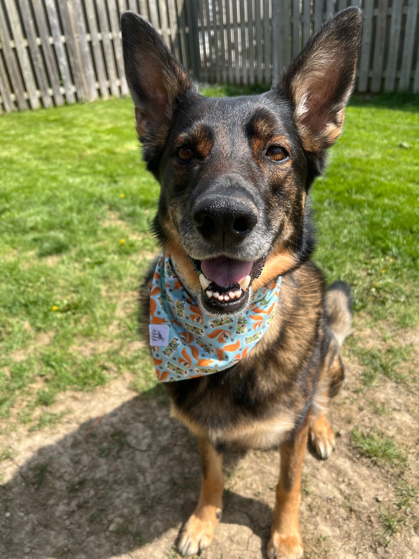 "Squirrel Patrol" Pet Bandana