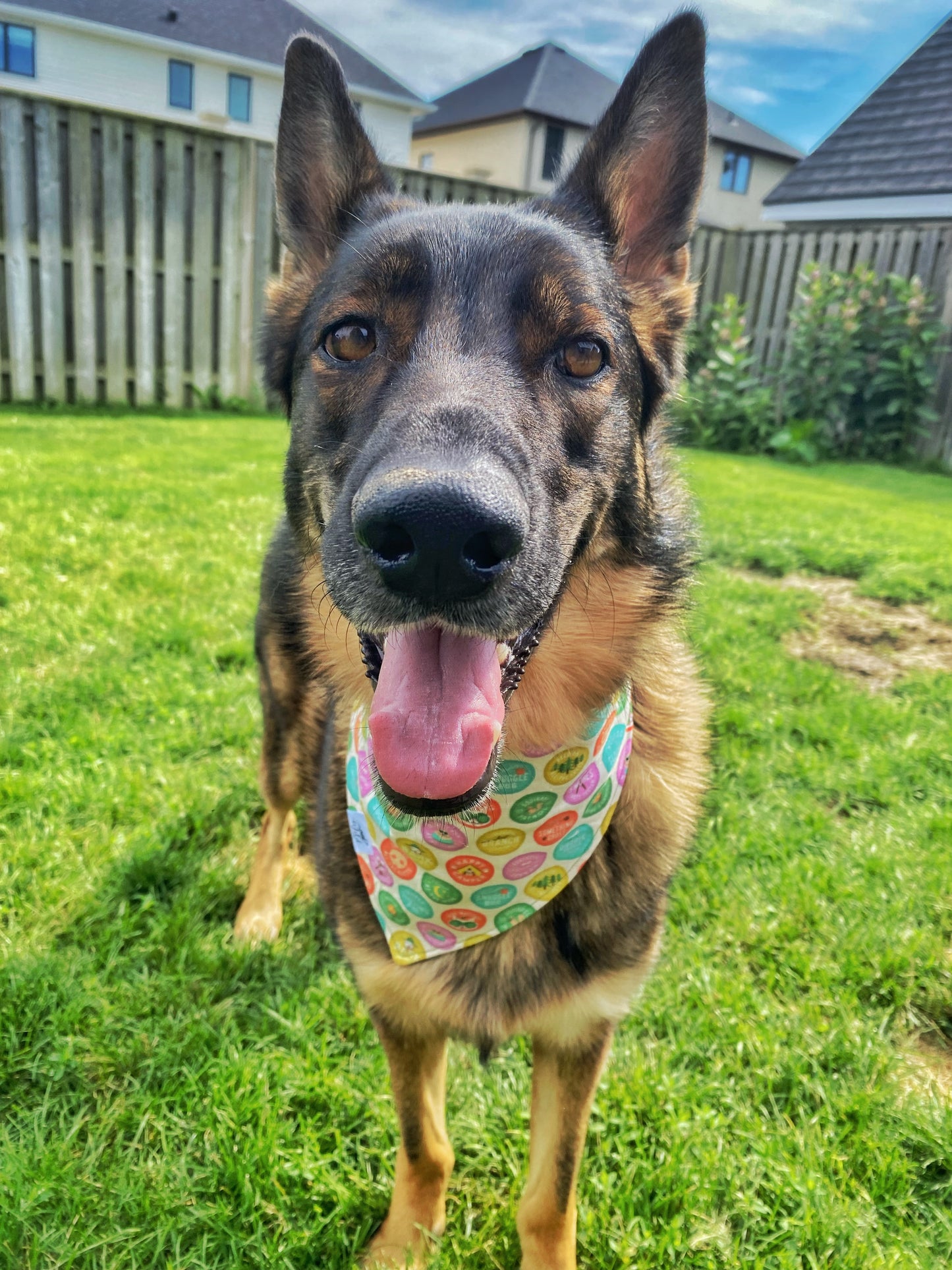 "Wilderness Explorer" Pet Bandana