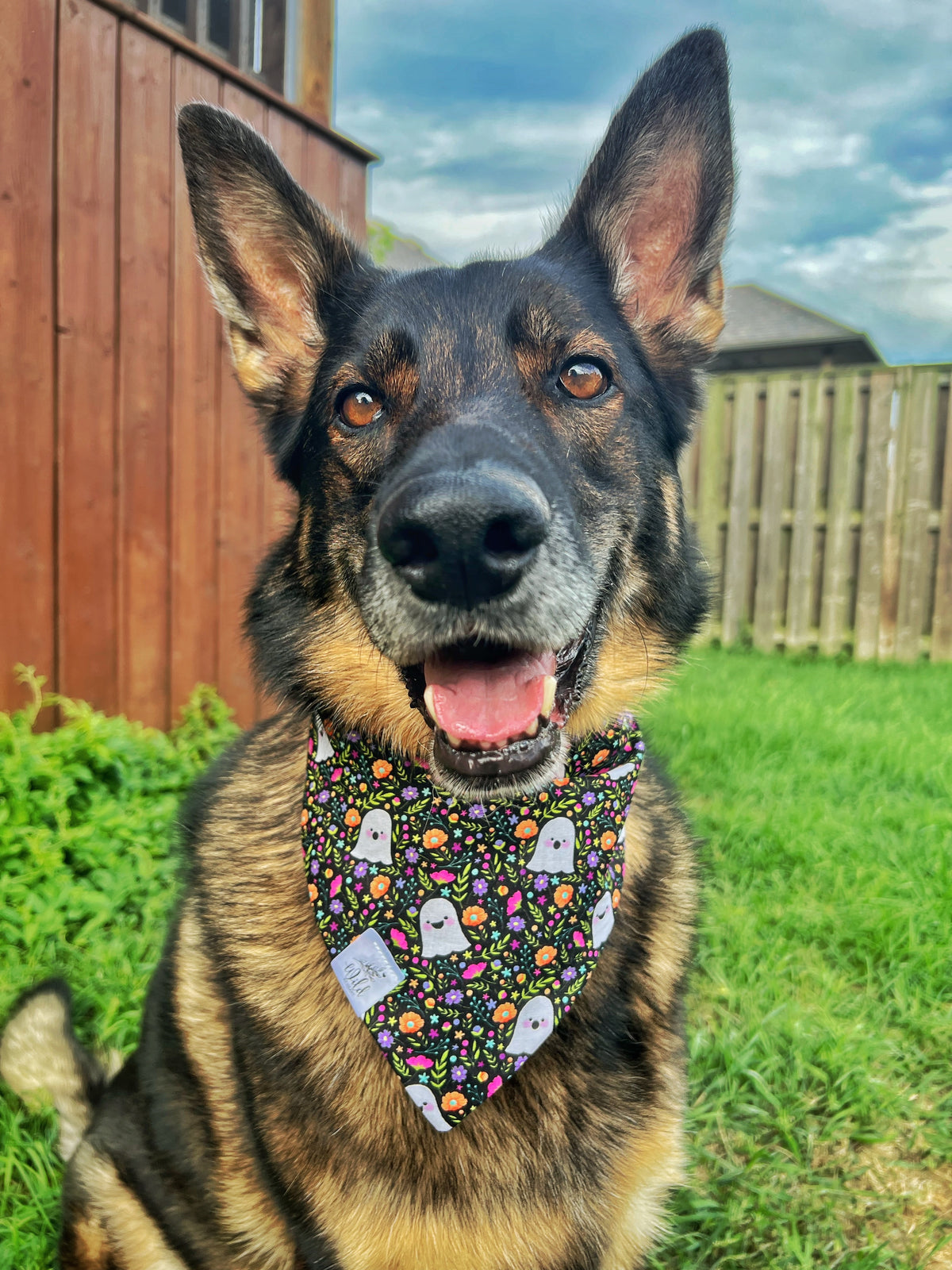 "Ghosts in the Garden" Pet Bandana