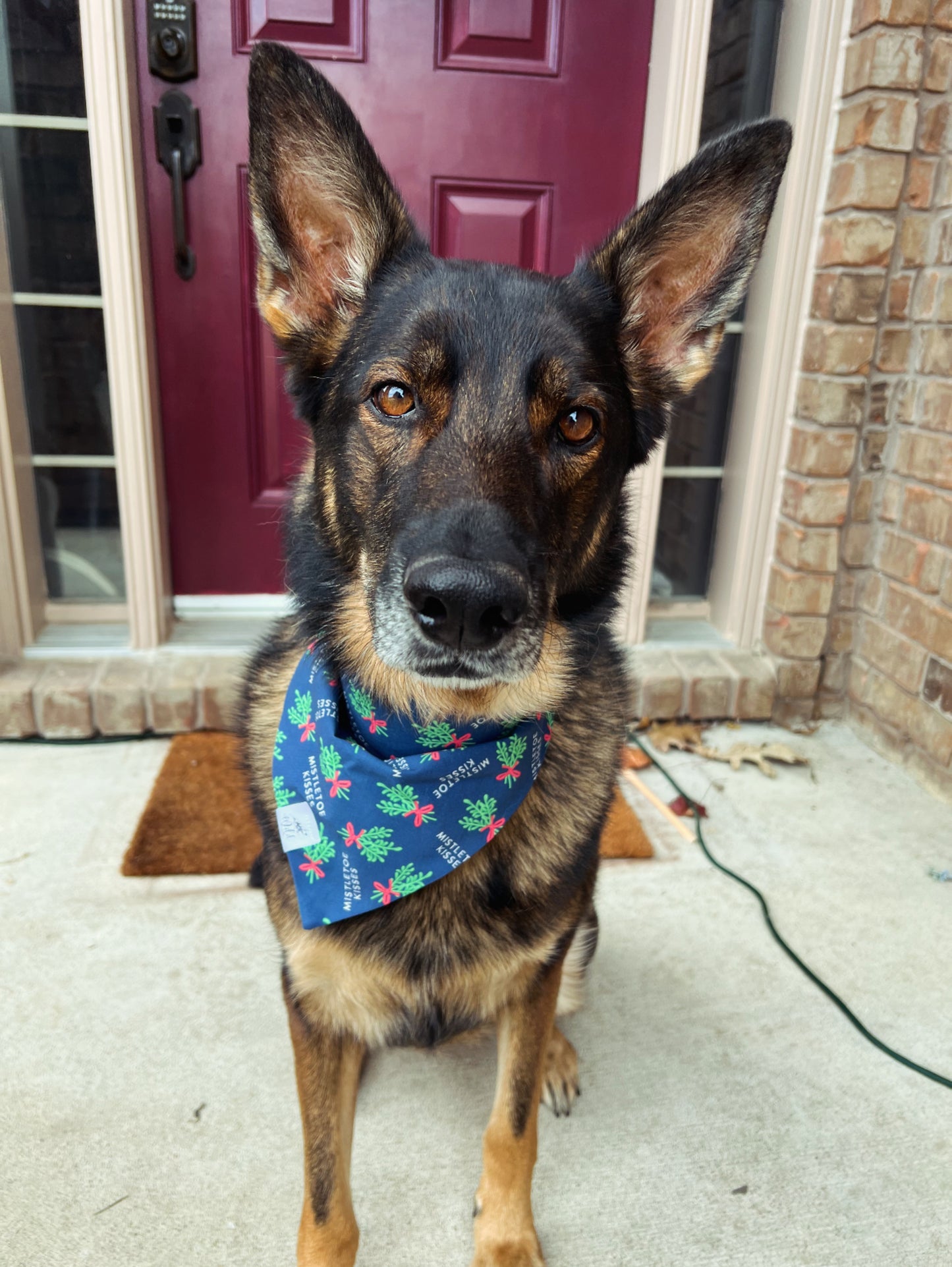 “Mistletoe Kisses” Pet Bandana