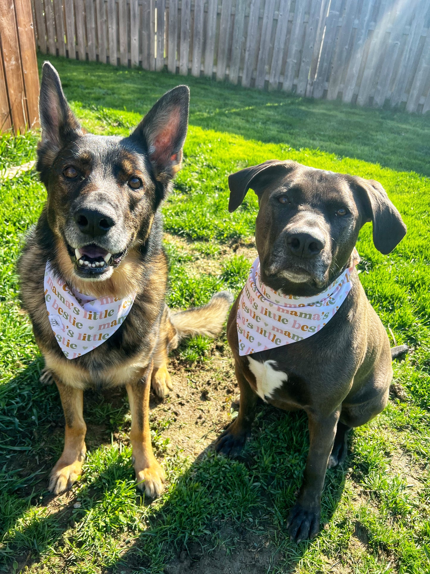 “Mama's Little Bestie ” Pet Bandana