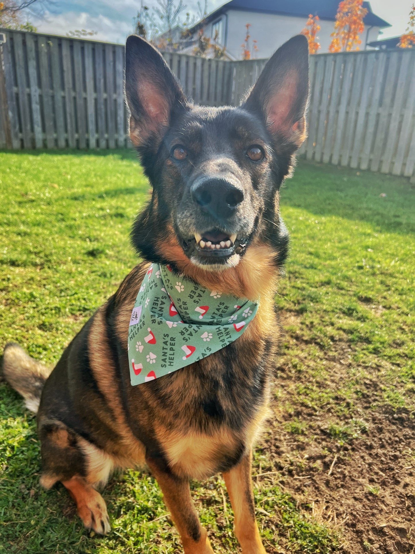 "Santa's Little Helper Pup " Pet Bandana