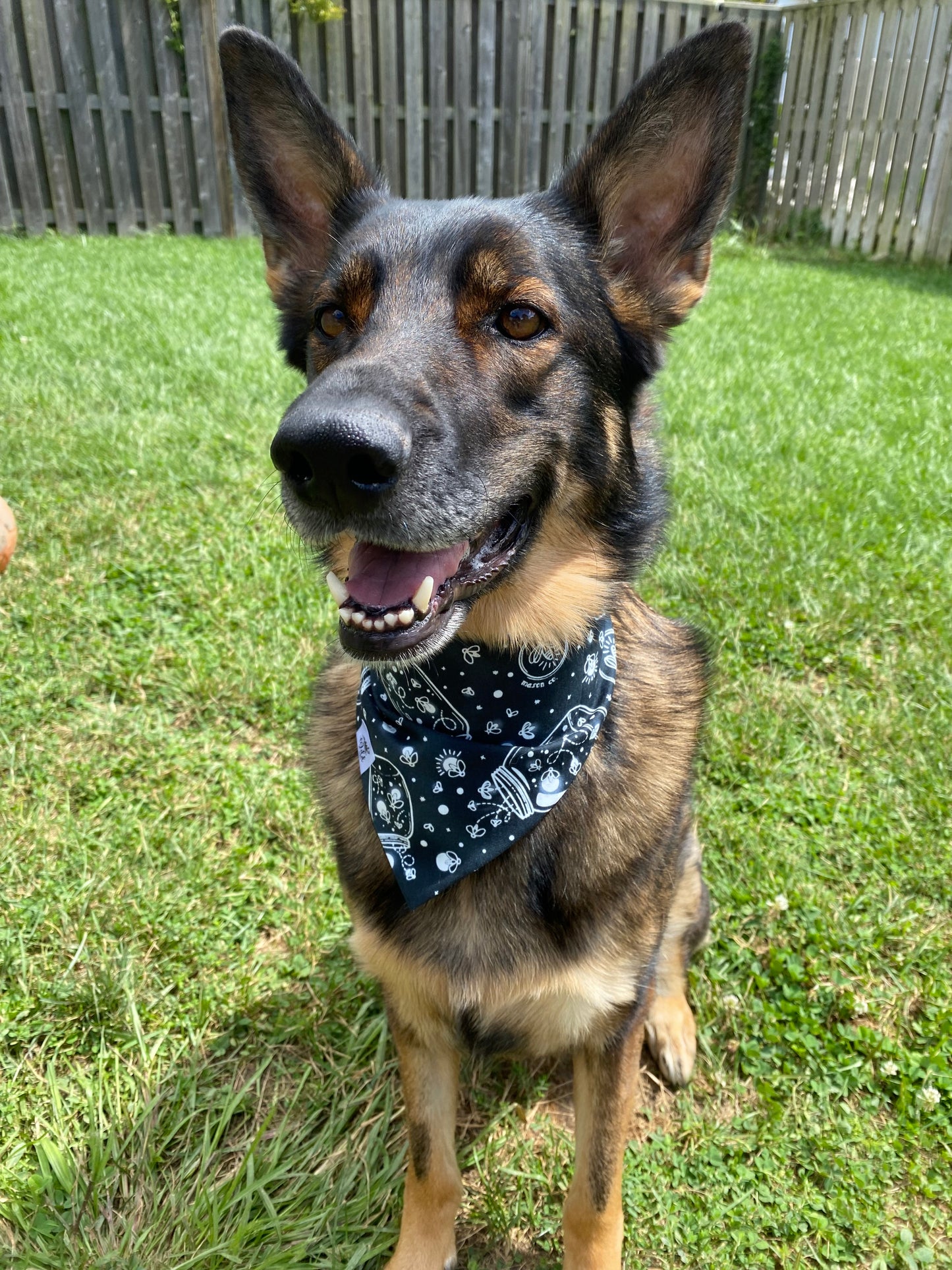 "Night Skies & Fireflies" Reversible Pet Bandana