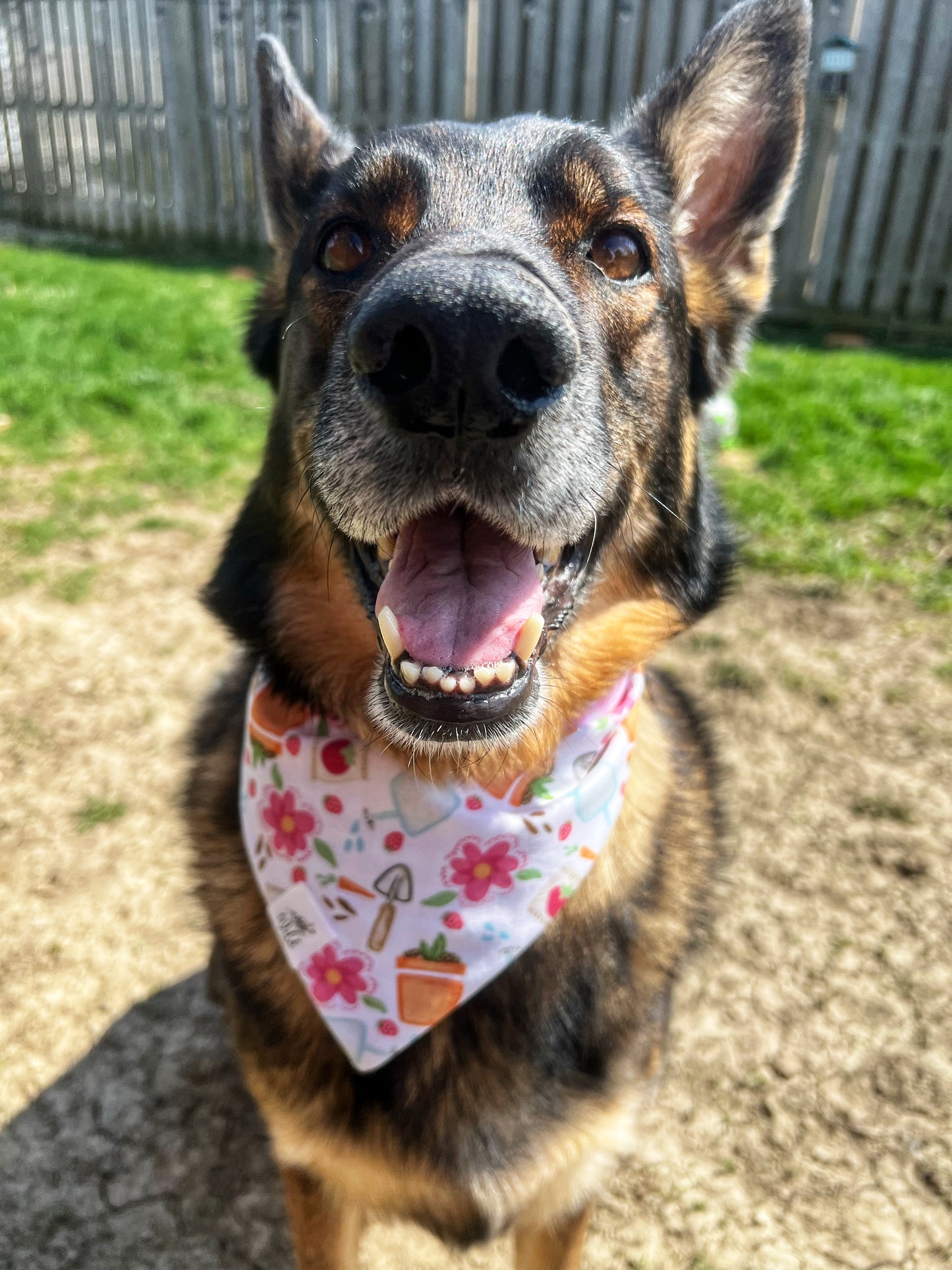 "Garden Daydream" Reversible Pet Bandana