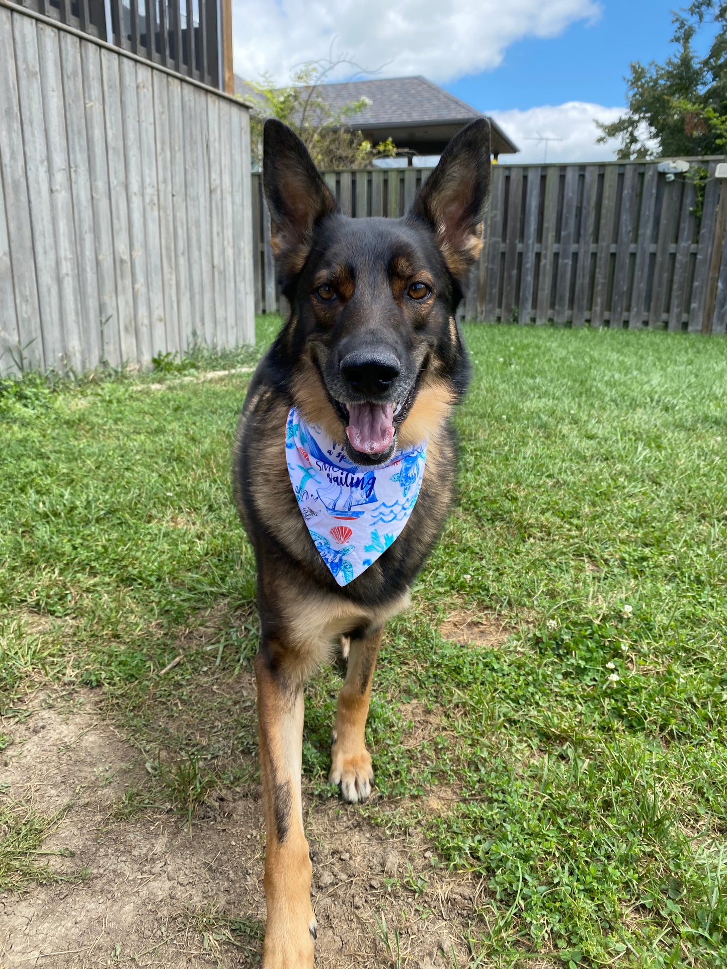 "Ocean Dreams” Reversible Pet Bandana