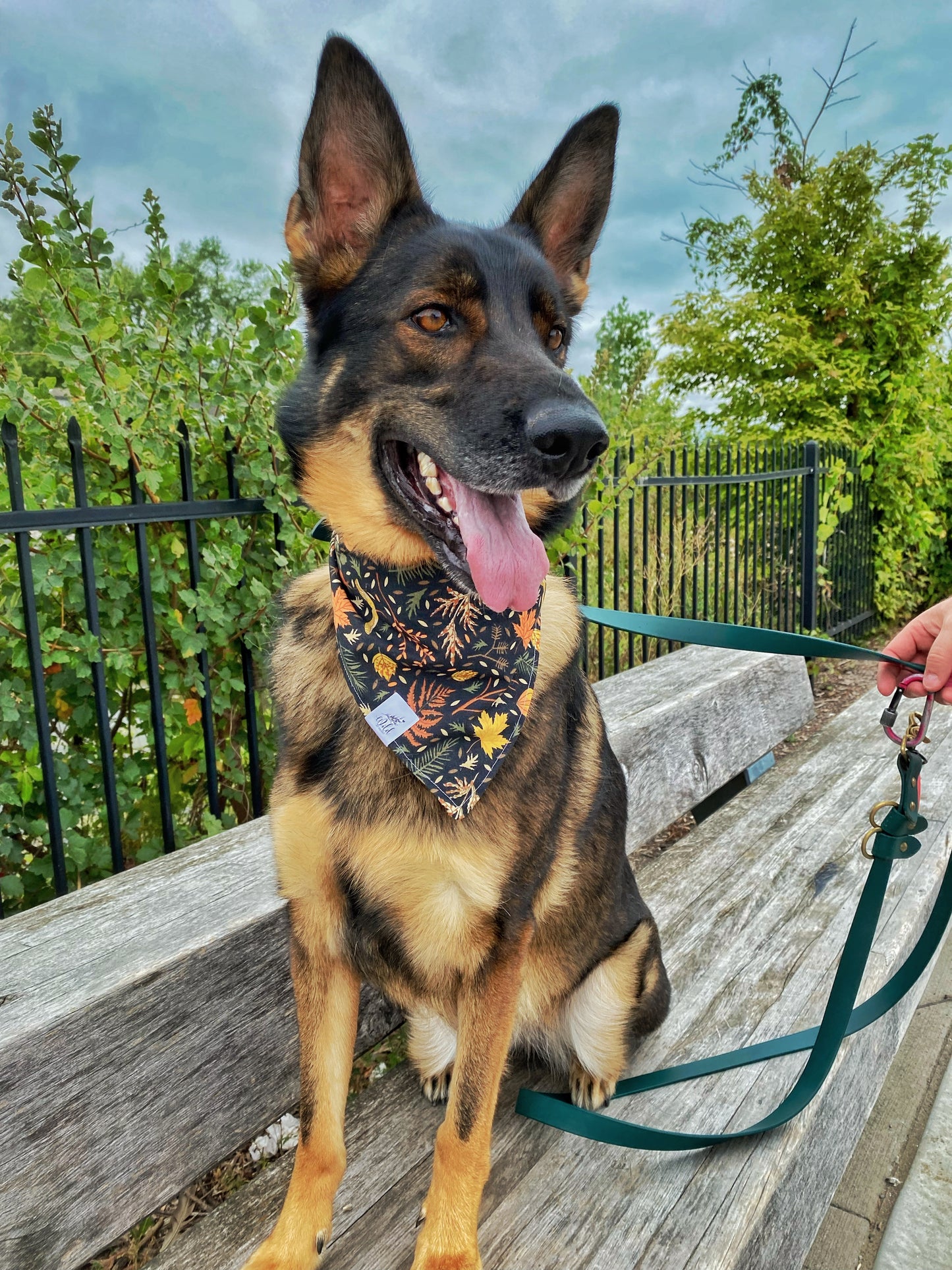 "Enchanted Forest Foliage" Pet Bandana