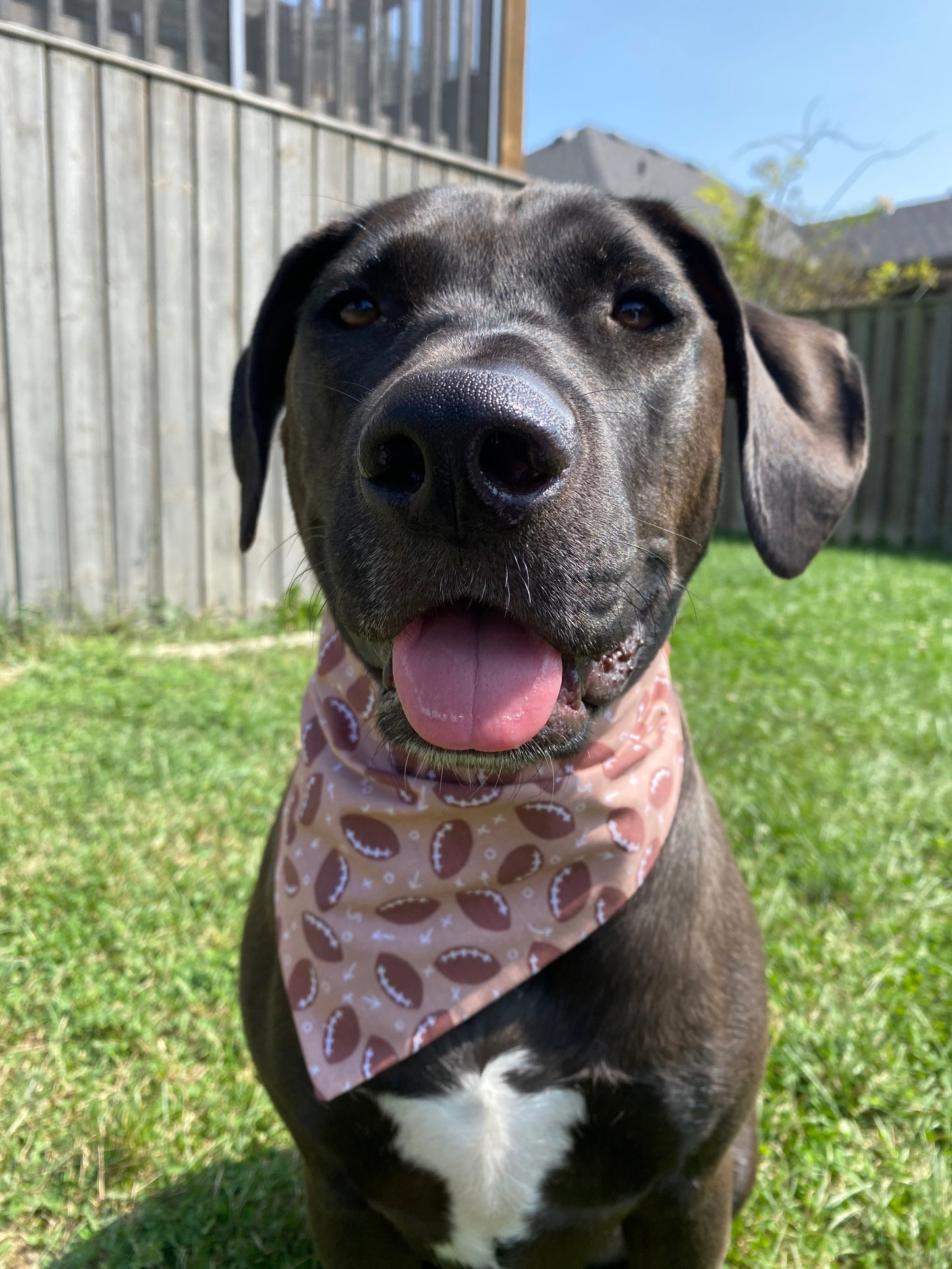 "Game Day" Pet Bandana