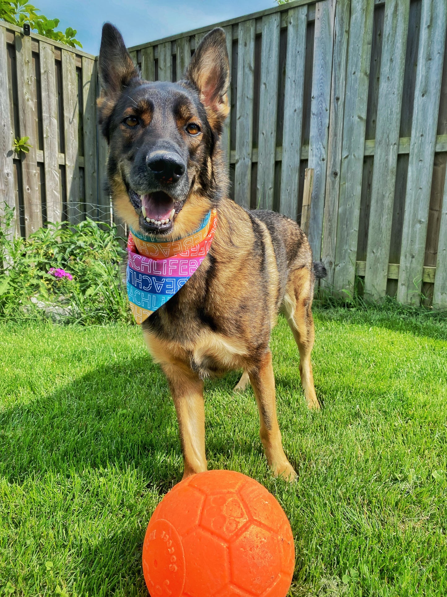 "Beach Life" Pet Bandana