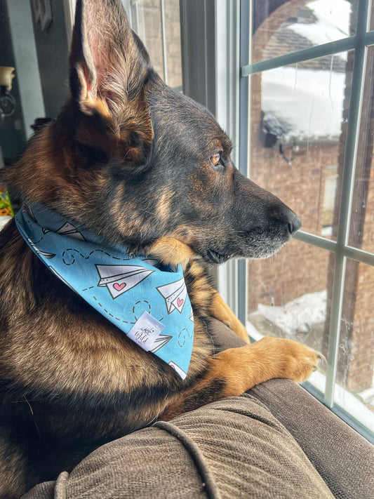 "Paper Planes & Puppy Dreams" Pet Bandana