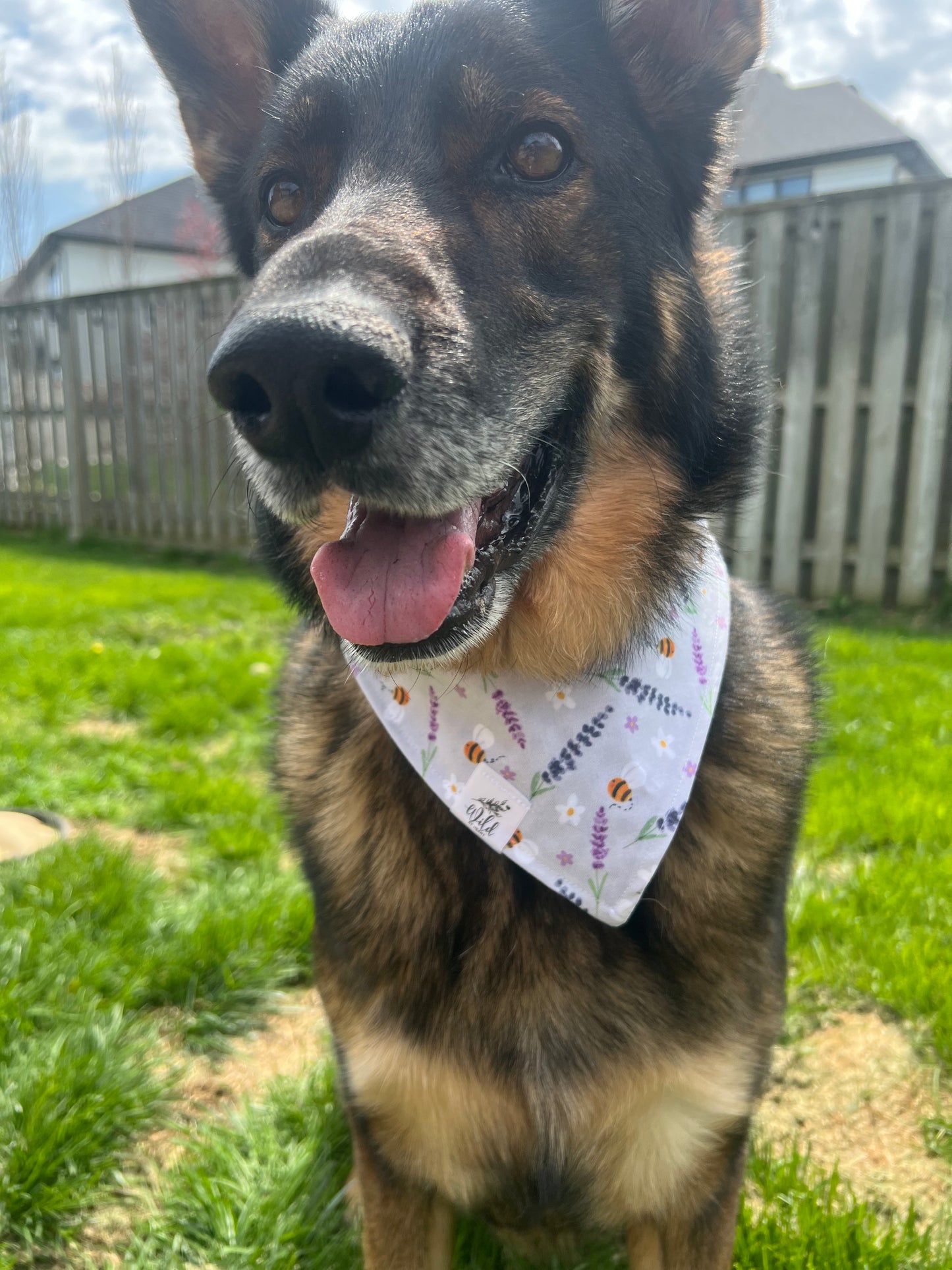 "Lavender Honey Field" Reversible Pet Bandana