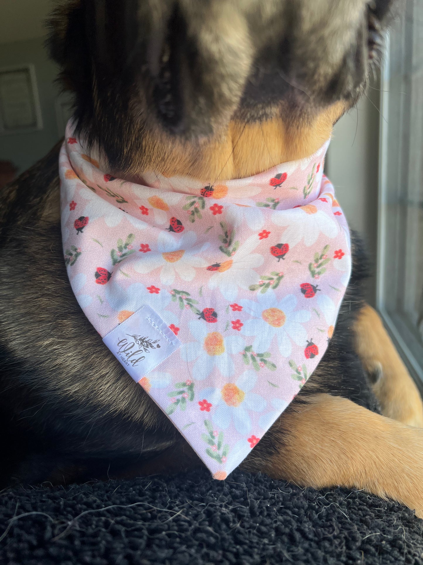 "Ladybug Garden” Pet Bandana