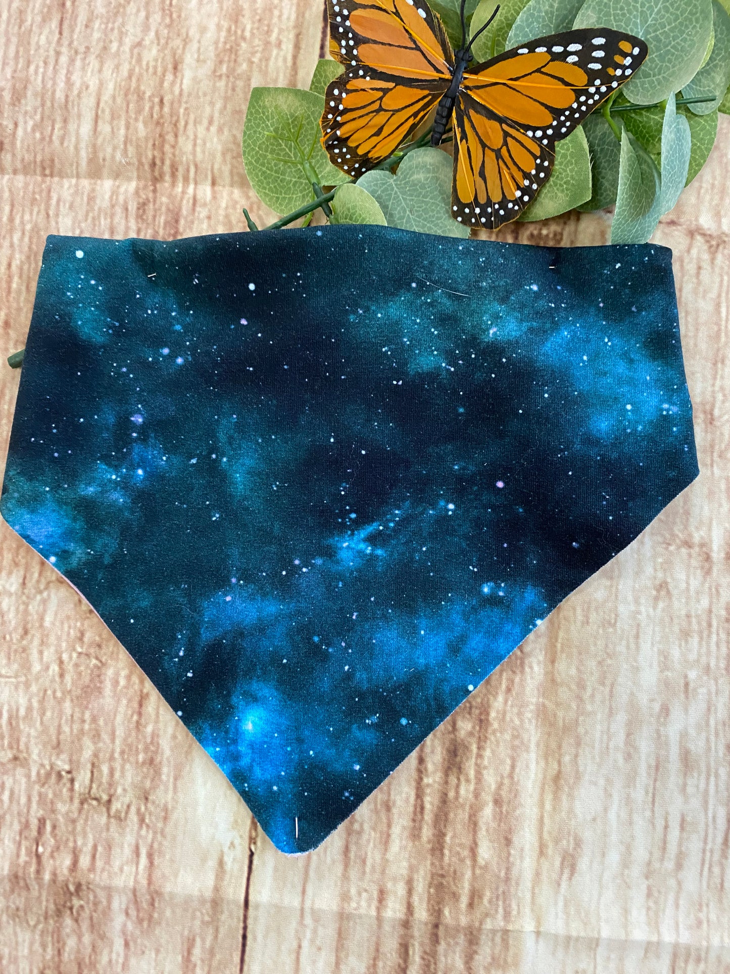 "Far Far Away" Pet Bandana