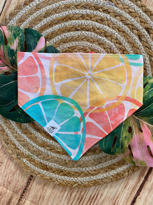 "Lemonade Sunshine" Pet Bandana