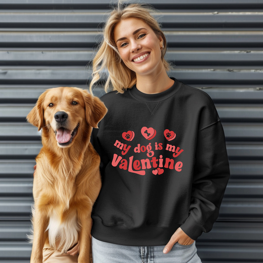 "Paw-fect Valentine" Shirt