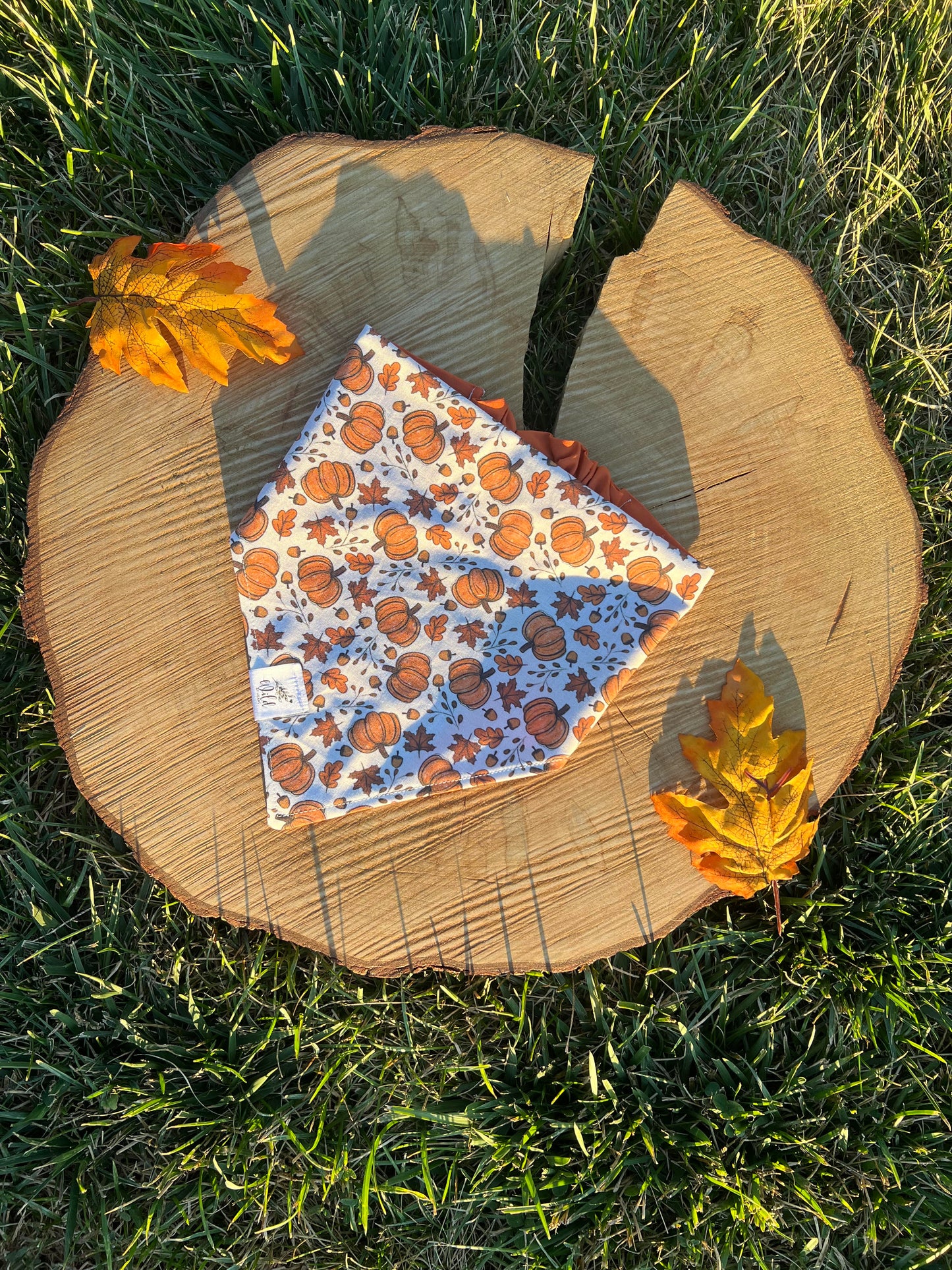 "Pumpkin Patch" Pet Bandana