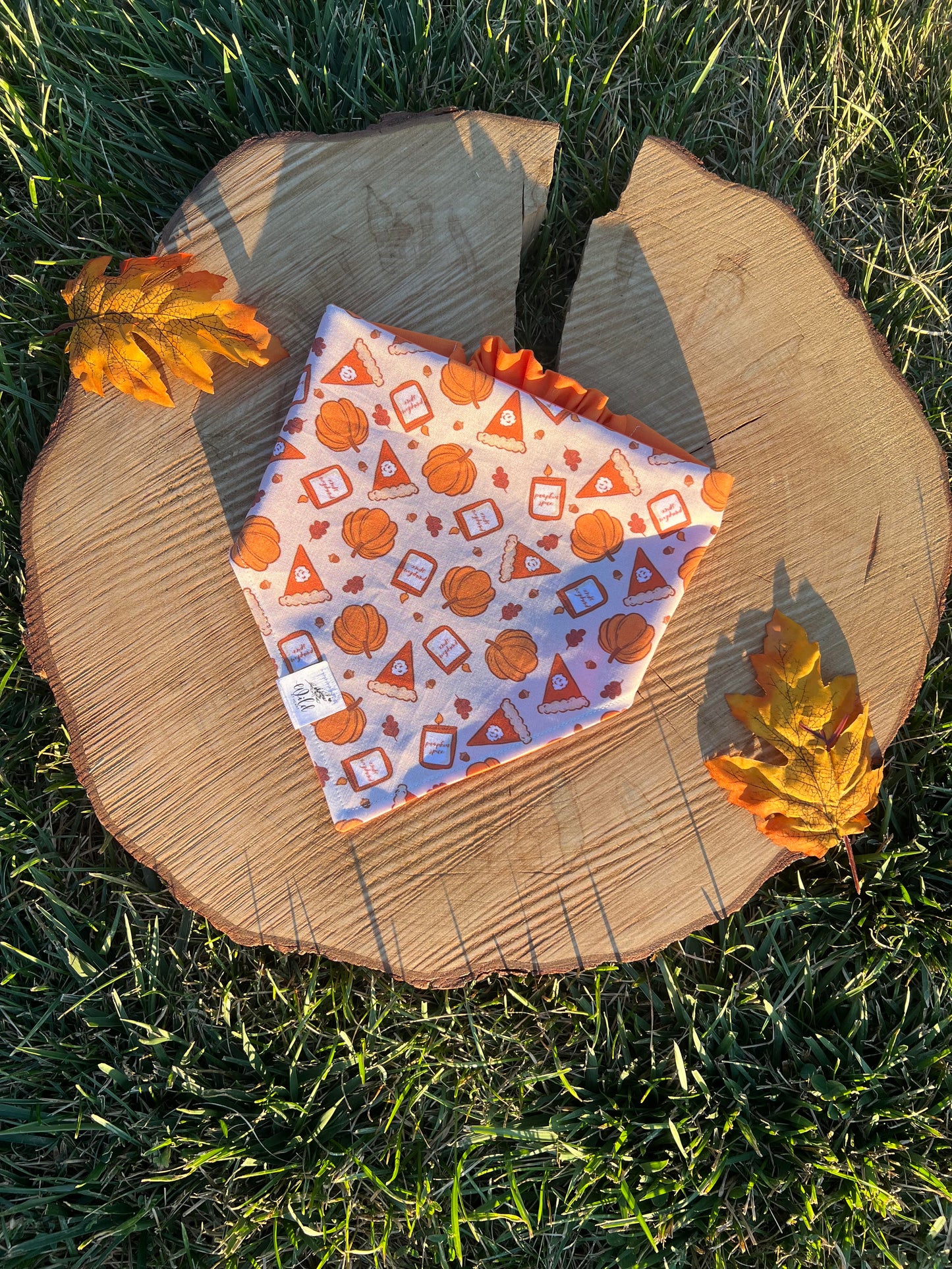 "Pumpkin Season" Pet Bandana