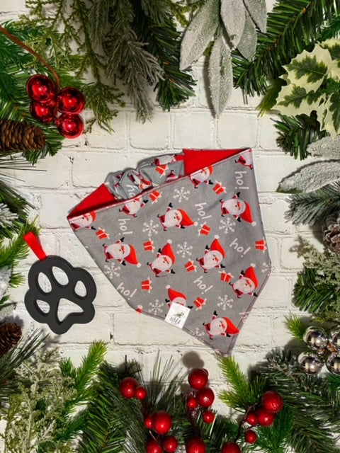 “Santa's Coming” Pet Bandana