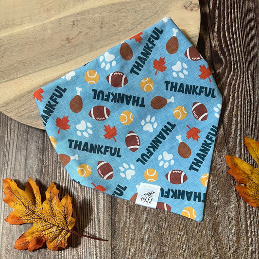 “Thankful Tailgater” Pet Bandana