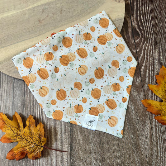 “Pumpkin Patch” Pet Bandana