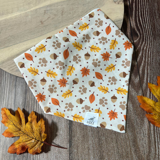 “Acorn Adventures” Pet Bandana