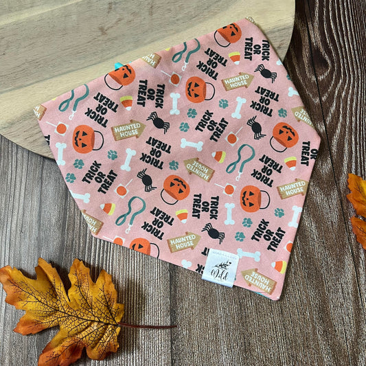 “Trick or Treat Trail” Pet Bandana