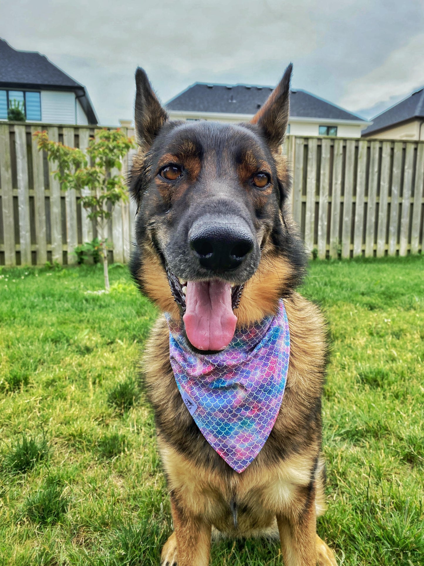 "Mermaid Sparkle " Pet Bandana