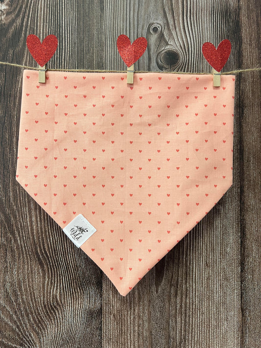 "Heart & Soul" Pet Bandana