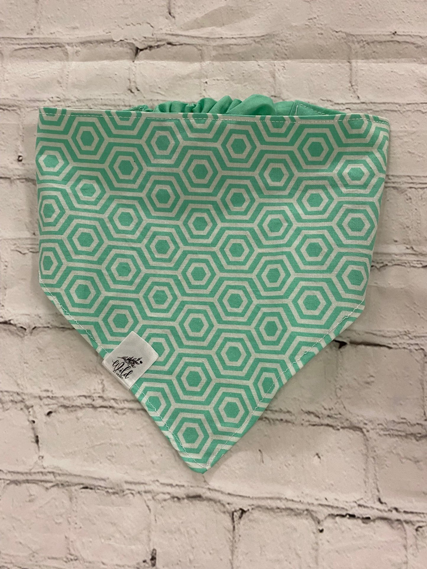 "Just Teal" Pet Bandana